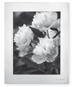 Kate Spade Darling Point™ 8" X 10" Frame Home Décor