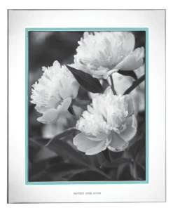 Kate Spade Home Décor Take The Cake™ 8" X 10" Frame