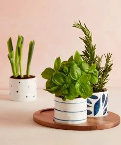 Lenox Blue Bay™ 4-piece Snack Bowl & Tray Set Dinnerware