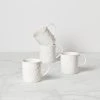 Kate Spade Blossom Lane 4-Piece Mug Set Dinnerware