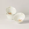 Lenox Profile Harvest 4-Piece All-Purpose Bowl Set Dinnerware